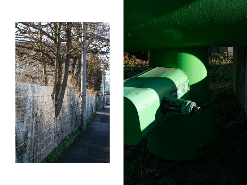 Baum durch Zaun und Rohr